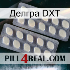 Делгра DXT 07